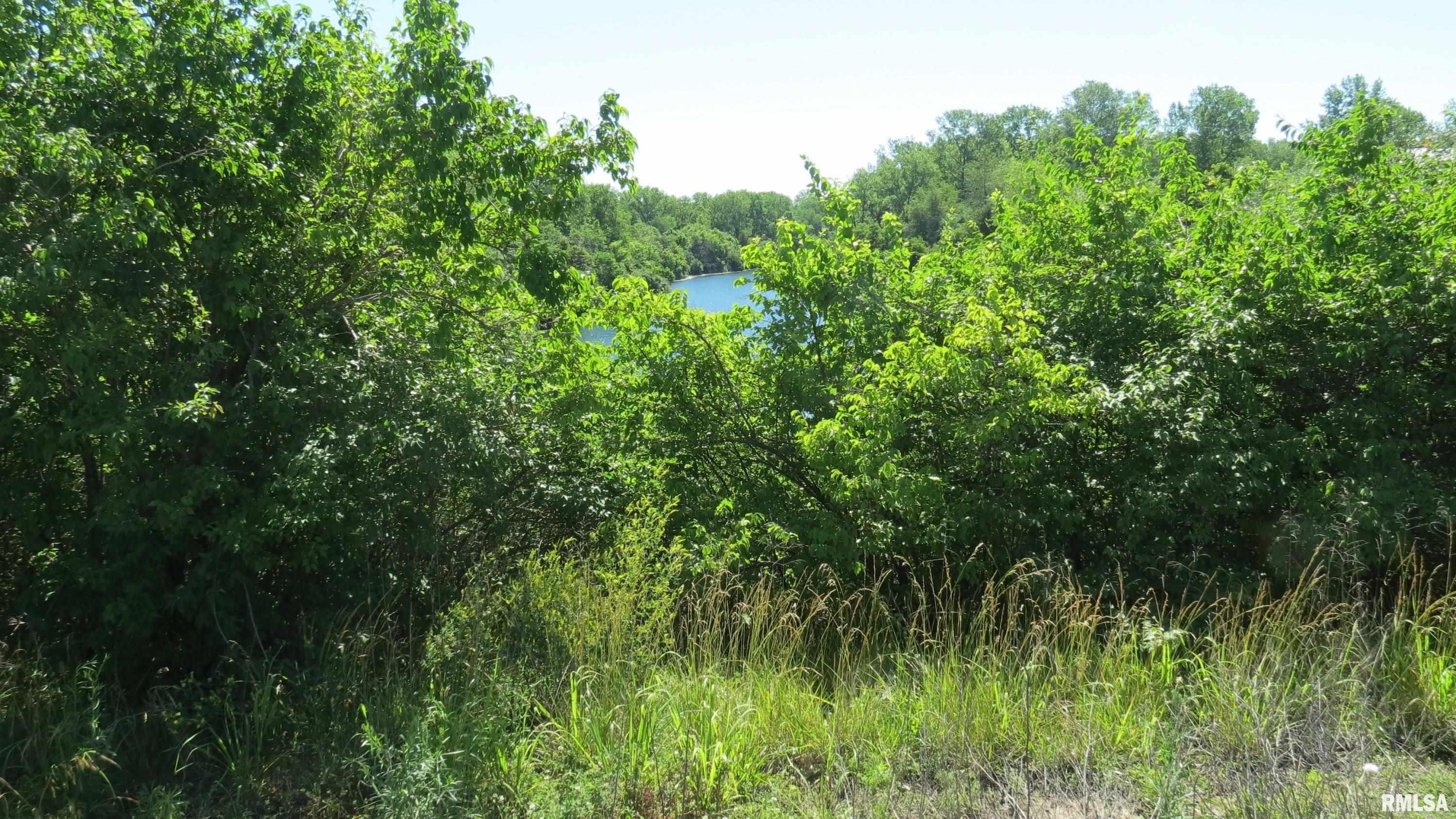 1230 Kathleen Road Du Quoin, IL 62832 - Photo 6 of 7