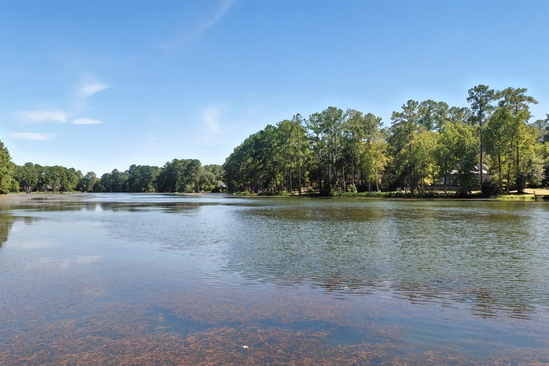 8712 Spring Shore Trail Tallahassee, FL 32312 - Photo 50 of 57