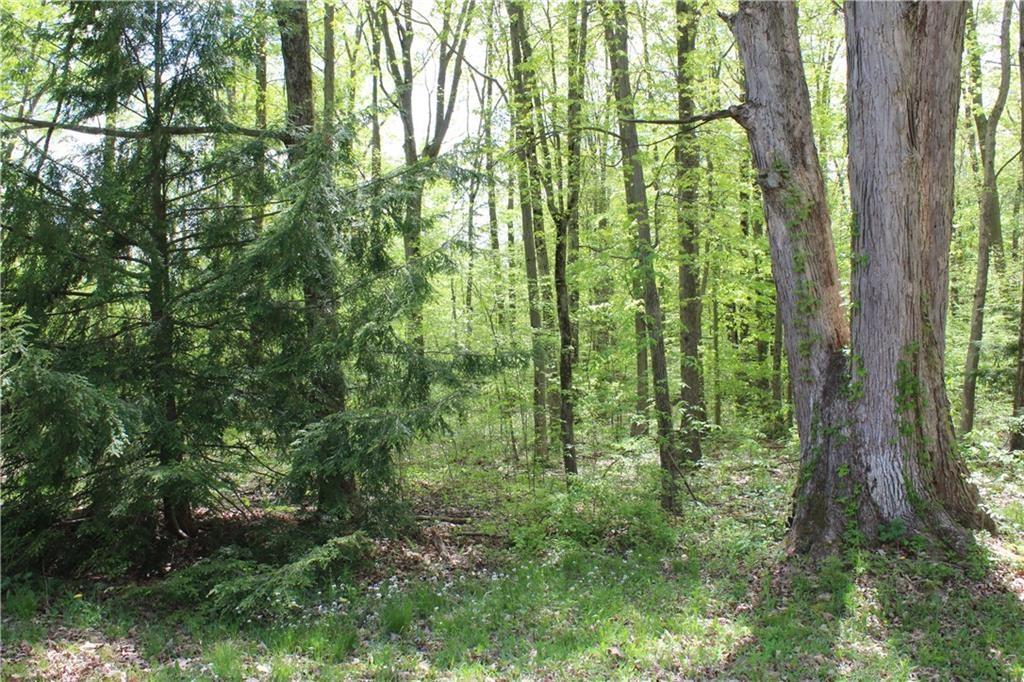 3047 South Center Road Linesville, PA 16424 - Photo 6 of 13 Gallery Image 6