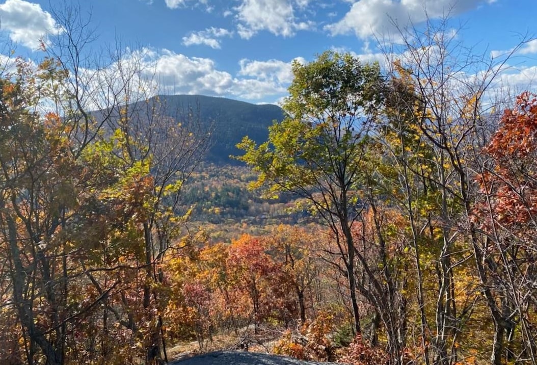 1156 Bear Mountain Road Wallingford, VT 05742 - Photo 1 of 5