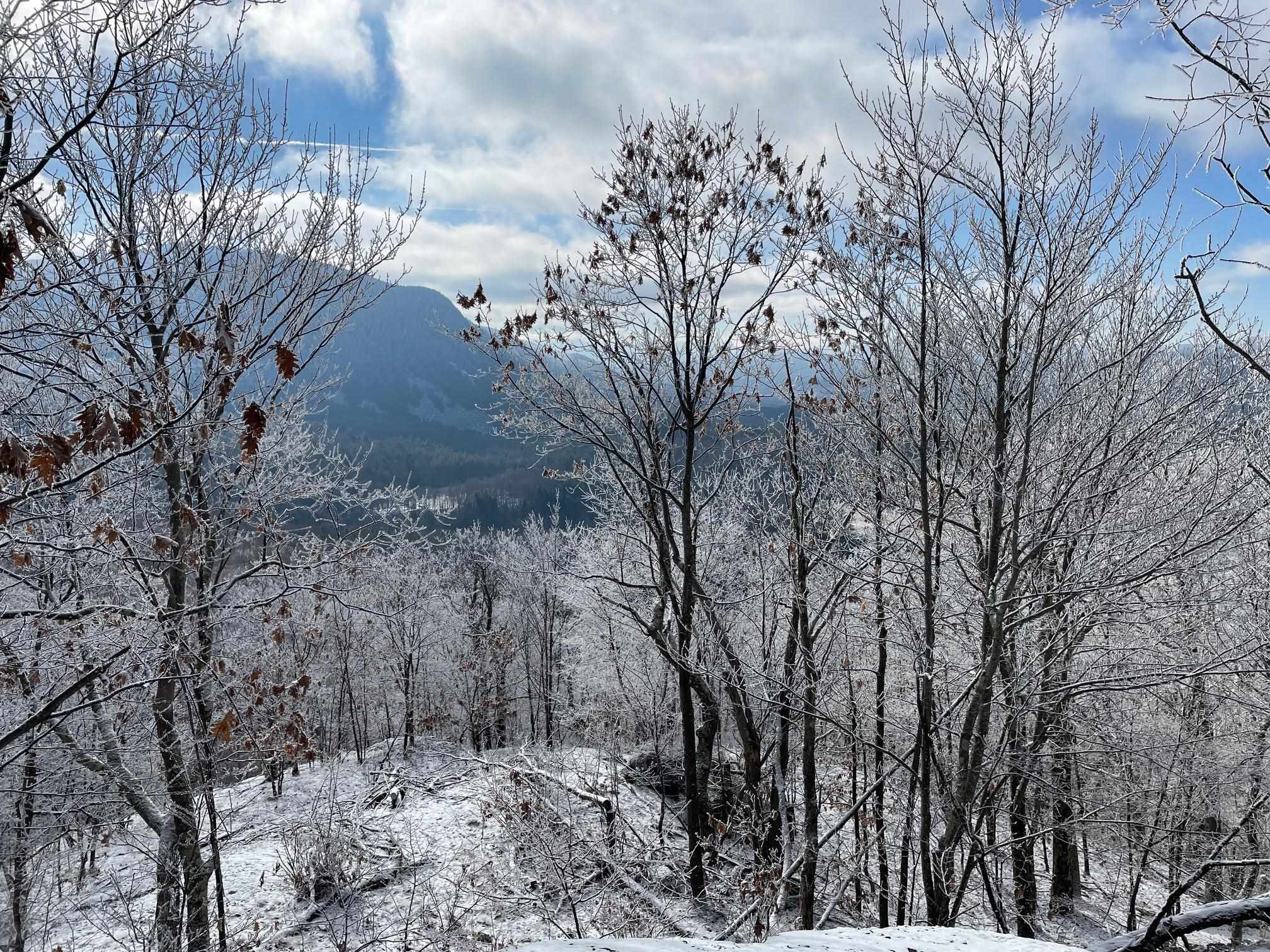 1156 Bear Mountain Road Wallingford, VT 05742 - Photo 3 of 5