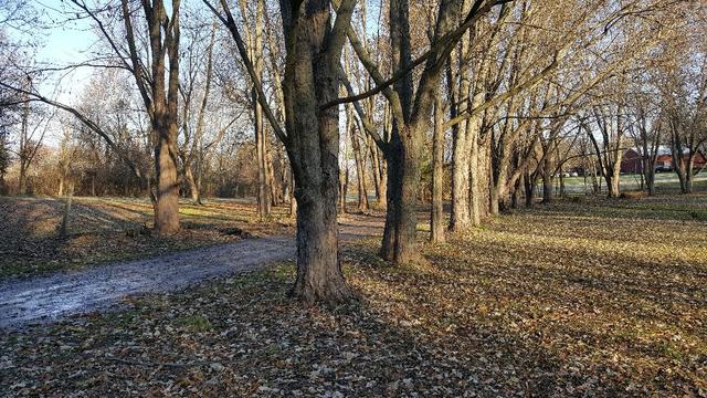 5N515 Hanson Road St. Charles, IL 60175 - Photo 4 of 30