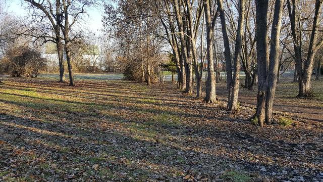 5N515 Hanson Road St. Charles, IL 60175 - Photo 5 of 30