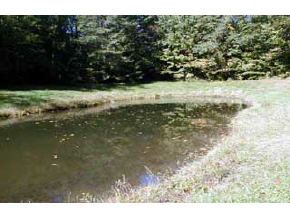 20 Forty Acres Road New London, NH 03287 - Photo 7 of 8 Gallery Image 7