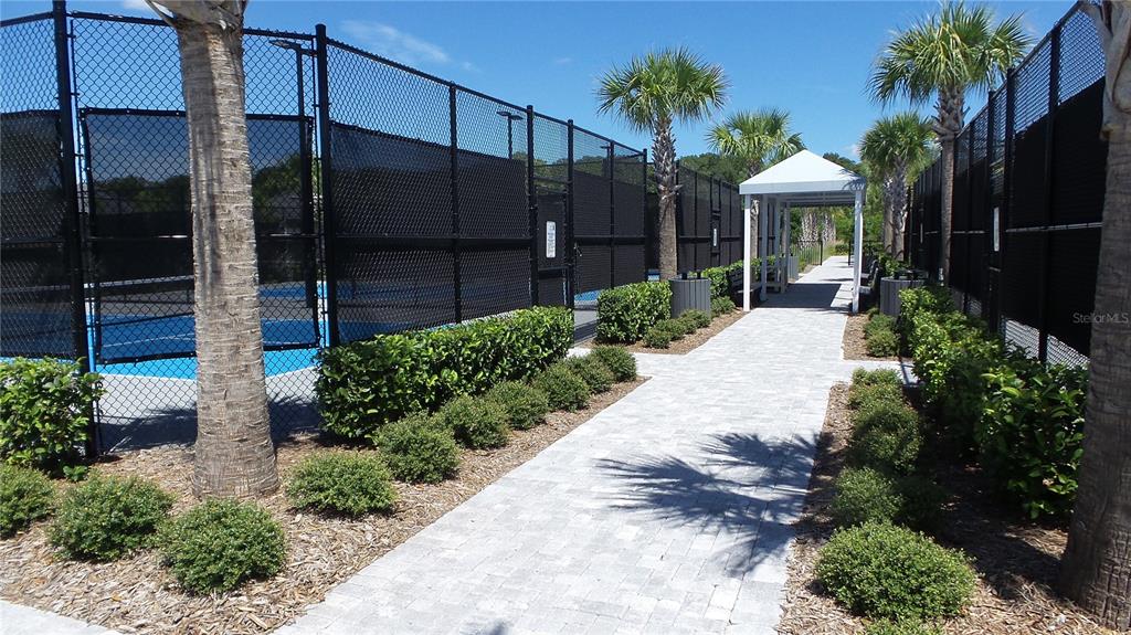 16715 Shell Bay Drive Land O Lakes, FL 34638 - Photo 18 of 19 a view of a house with a yard and potted plants