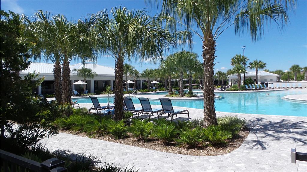 16715 Shell Bay Drive Land O Lakes, FL 34638 - Photo 19 of 19 a view of a swimming pool with a garden