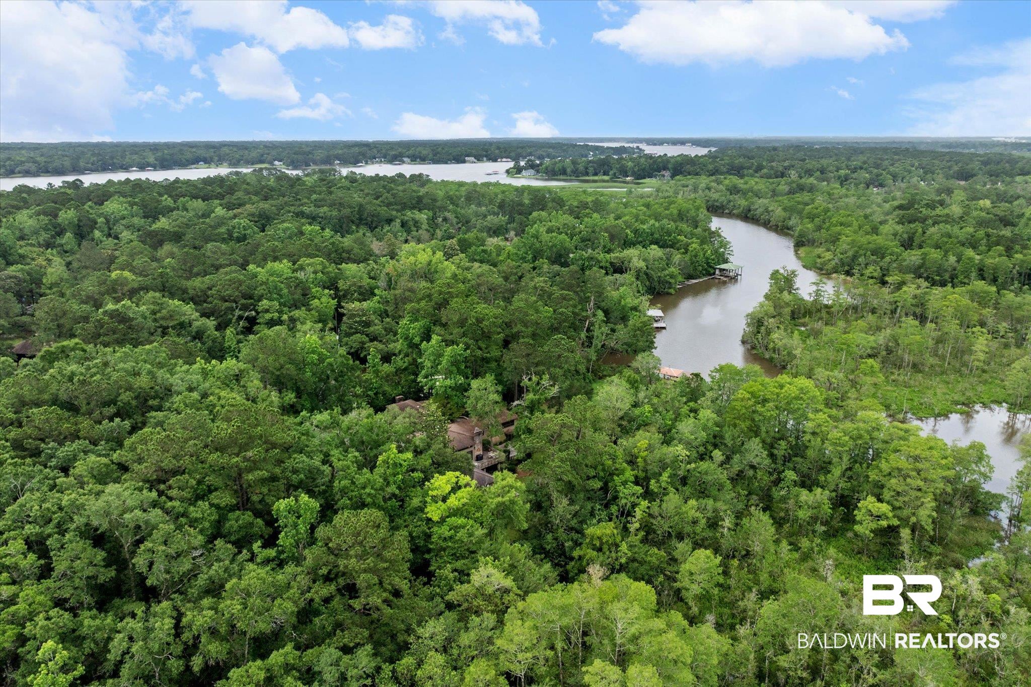 3500 Venetia Road Mobile, AL 36605 - Photo 48 of 56 Expansive wooded landscape featuring a winding river and distant body of water