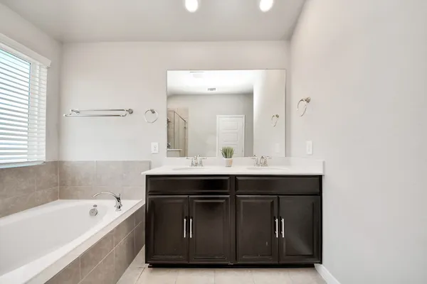 a bathroom with a tub sink and mirror