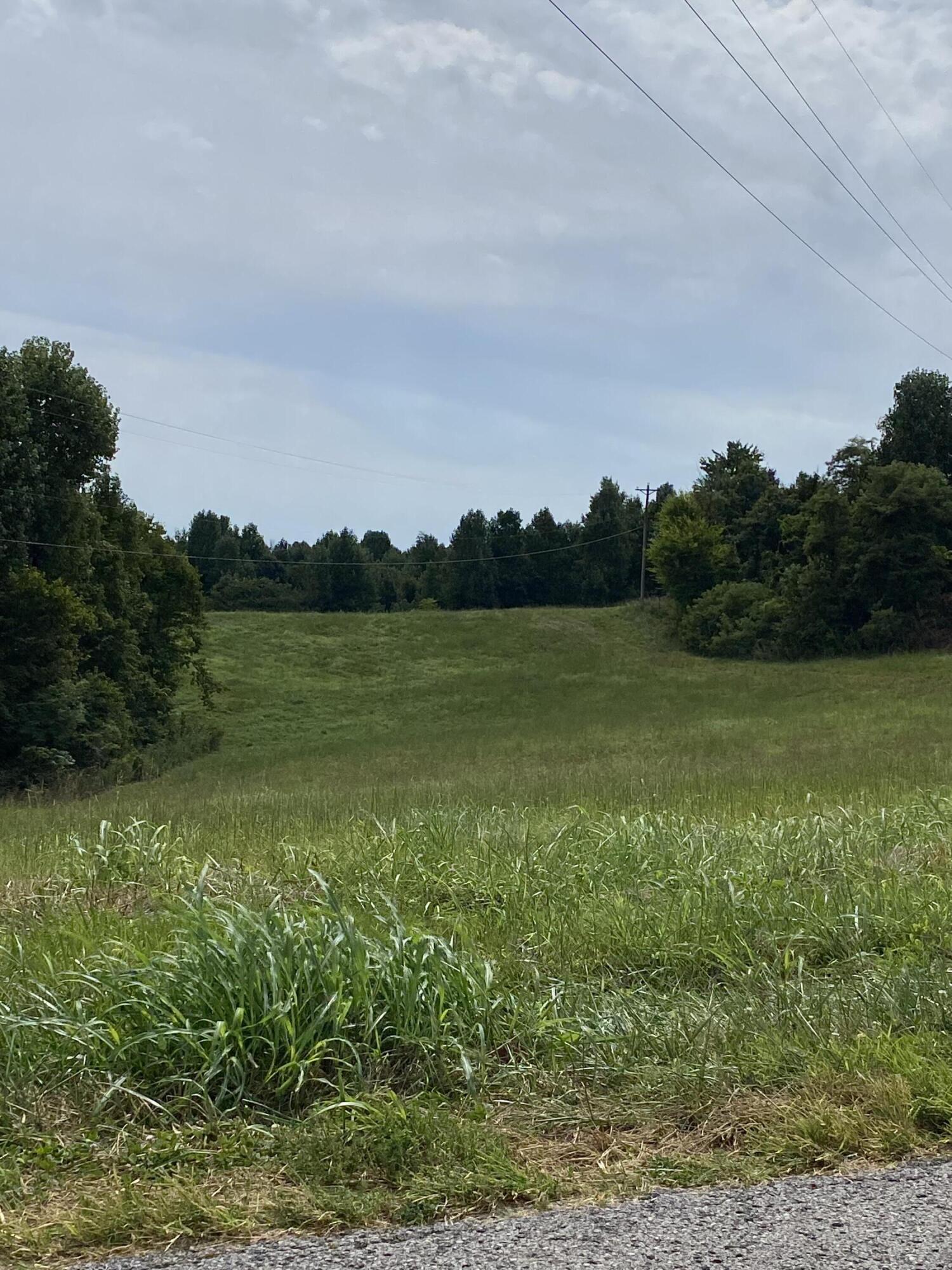 Lot H Greasy Ridge Road Stanford, KY 40484 - Photo 1 of 1 IMG_7427