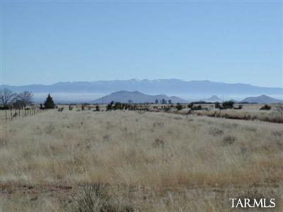 0 West Highland Road Pearce, AZ 85625 - Photo 3 of 4
