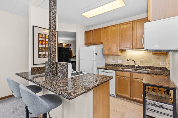 515 Main Street, Unit 401 Evanston, IL 60202 - Photo 4 of 20