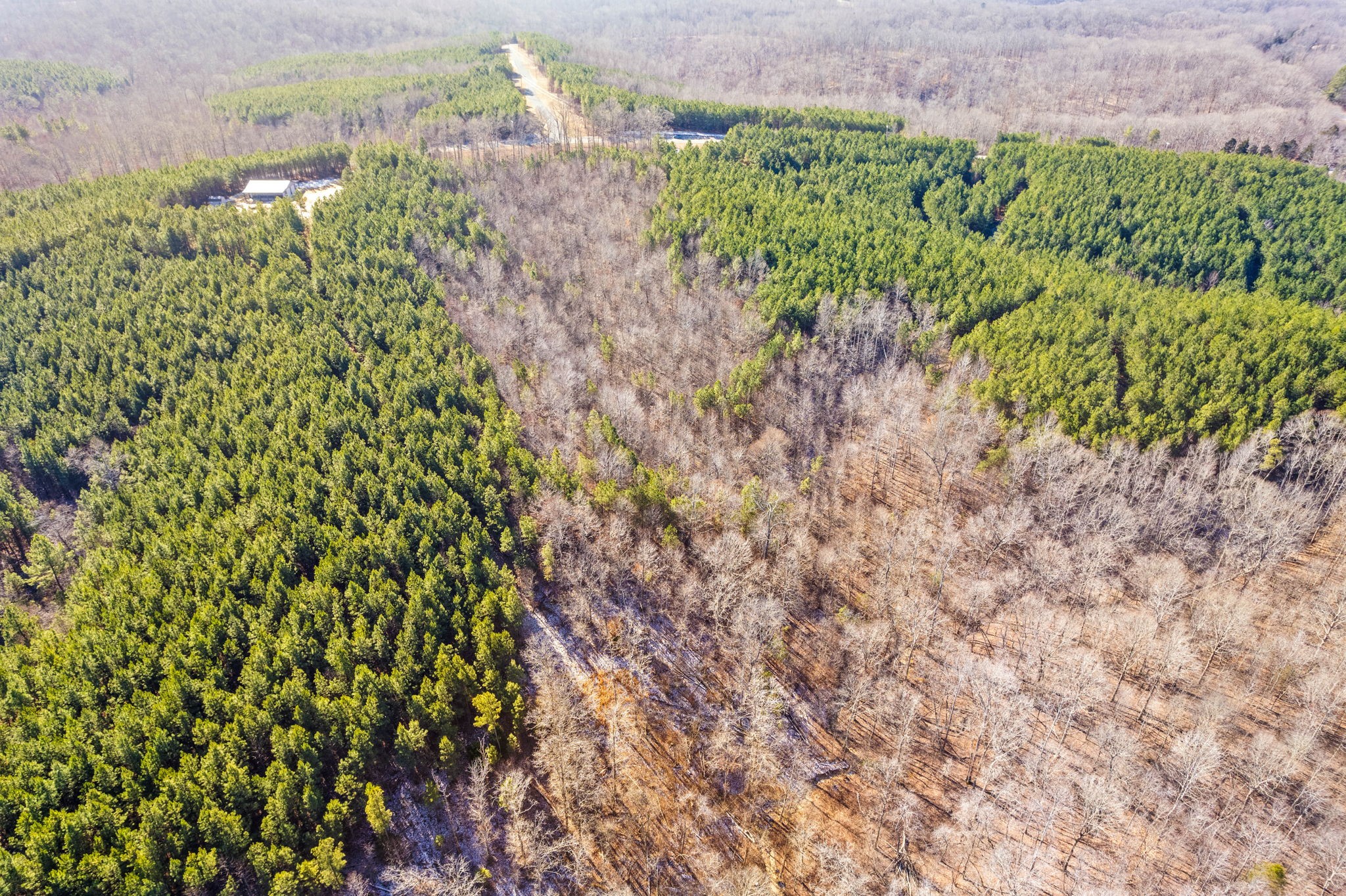 4 Walnut Grove Road Dover, TN 37058 - Photo 17 of 37 Gallery Image 17