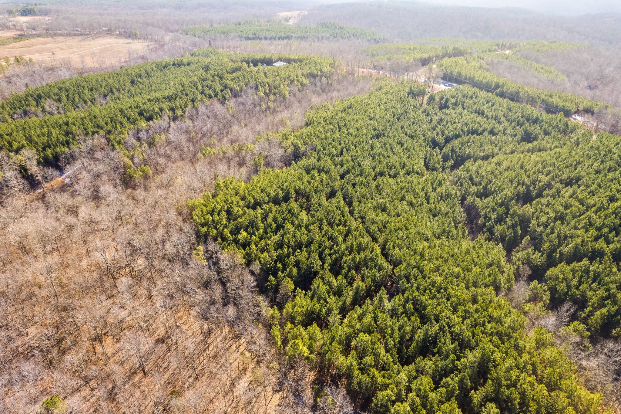 4 Walnut Grove Road Dover, TN 37058 - Photo 25 of 37 Gallery Image 25