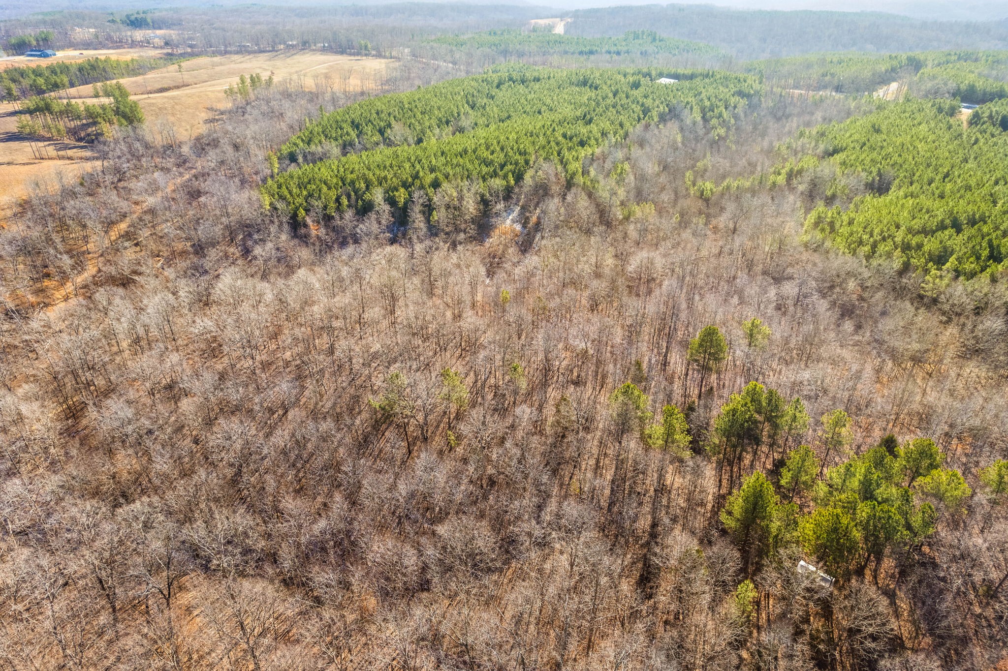 4 Walnut Grove Road Dover, TN 37058 - Photo 35 of 37 Gallery Image 35