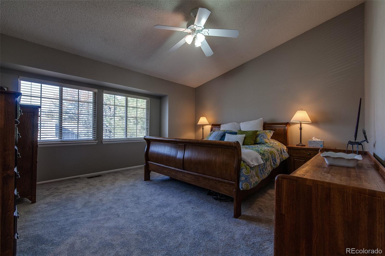 462 Mountain Chickadee Road Highlands Ranch, CO 80126 - Photo 14 of 37 Gallery Image 14