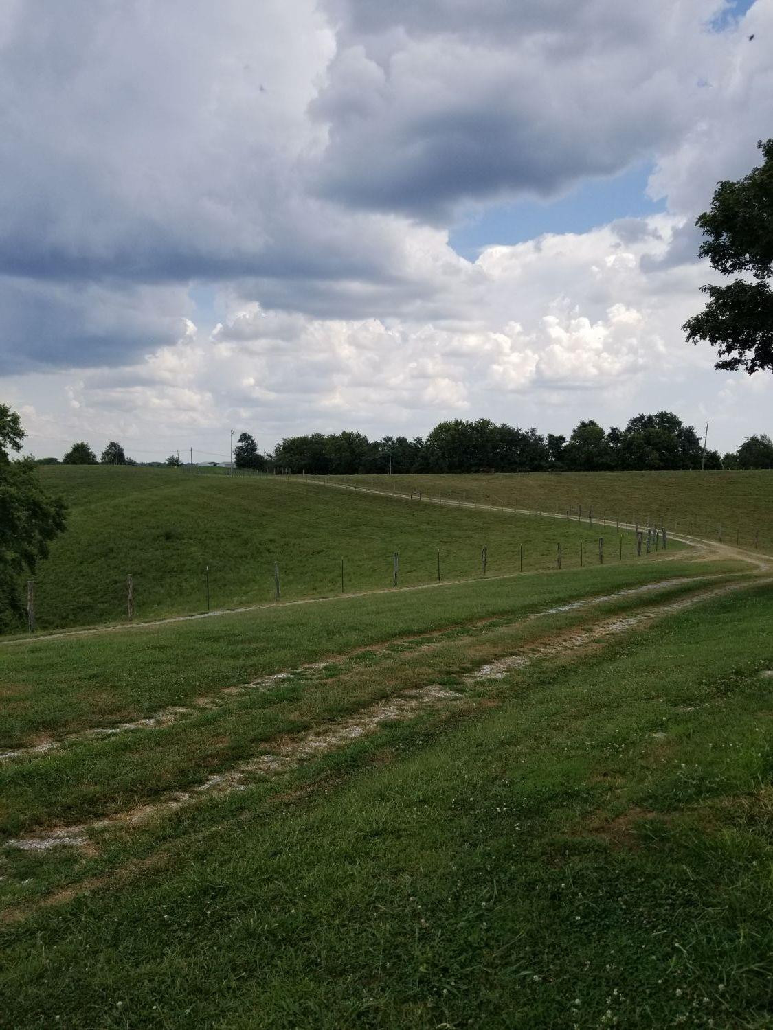 8241 Buckeye Road Lancaster, KY 40444 - Photo 37 of 69 Photo 37