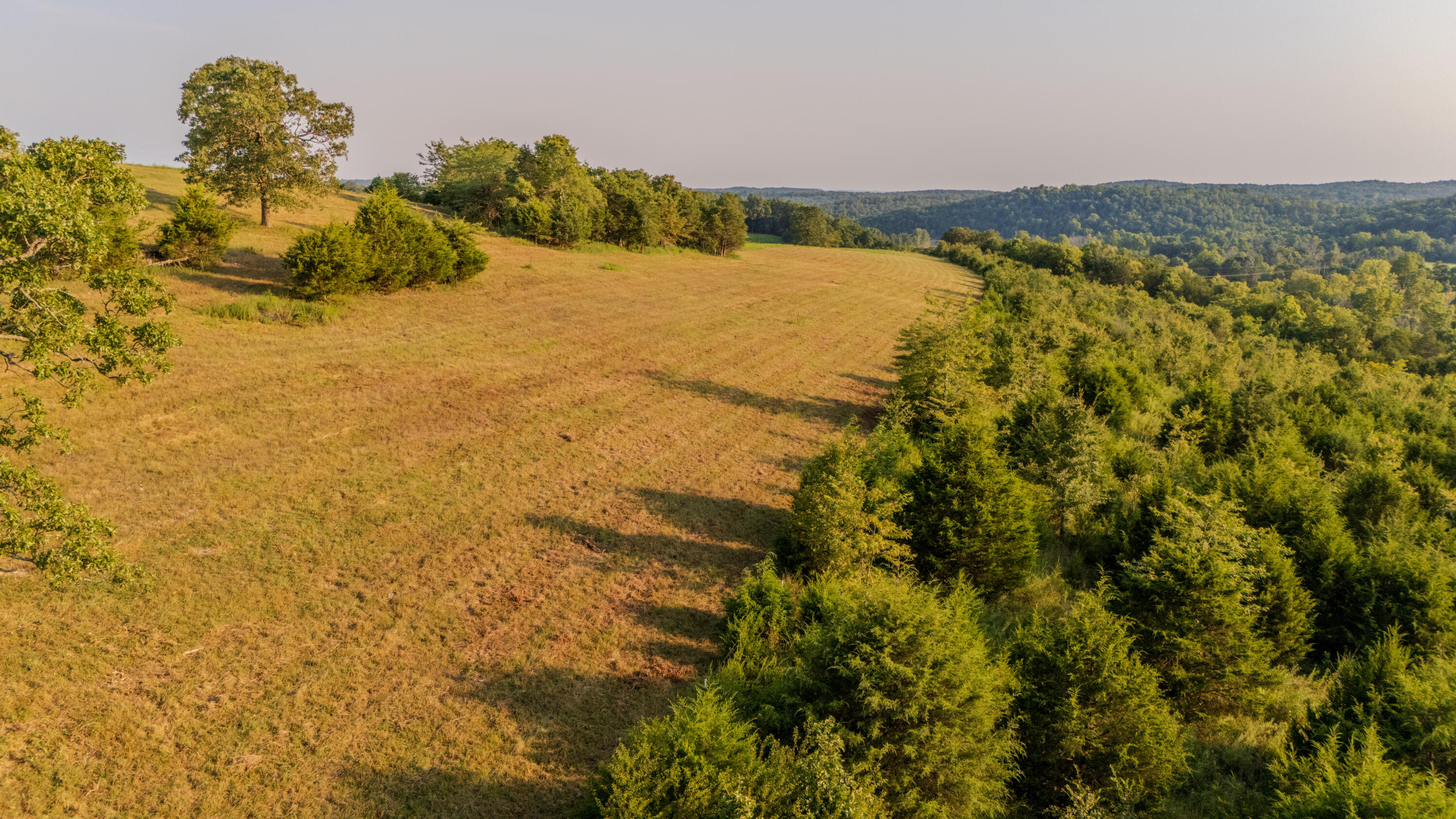 0 Trotter Road Protem, MO 65733 - Photo 16 of 24 0807225_DAY_PROTEMMO-24