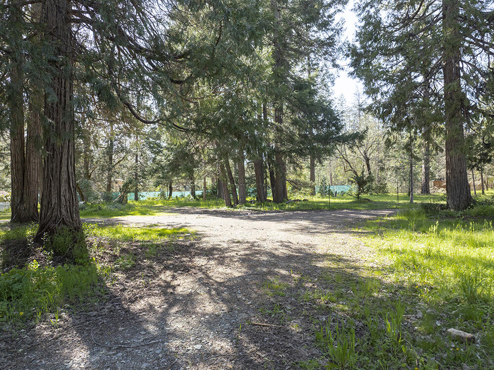 1685 Cedar Flat Road Williams, OR 97544 - Photo 29 of 60 29