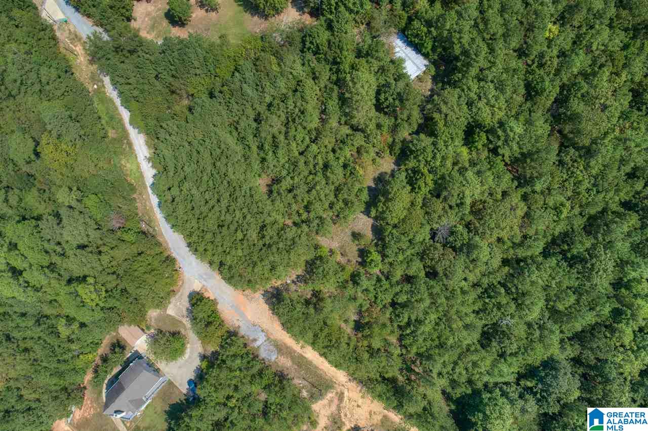 255 Lakeside Lane Alpine, AL 35014 - Photo 11 of 12