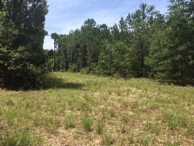 0 John Smalls Road Johns Island, SC 29455 - Photo 3 of 7 JS3