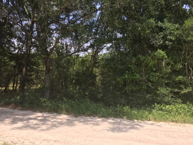 0 John Smalls Road Johns Island, SC 29455 - Photo 5 of 7 JS5