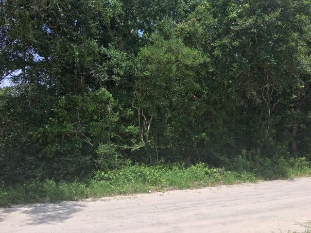 0 John Smalls Road Johns Island, SC 29455 - Photo 6 of 7 JS6