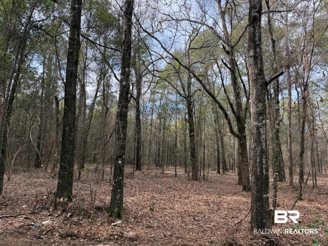 0 Danner Road East Wilmer, AL 36587 - Photo 23 of 34 Gallery Image 23