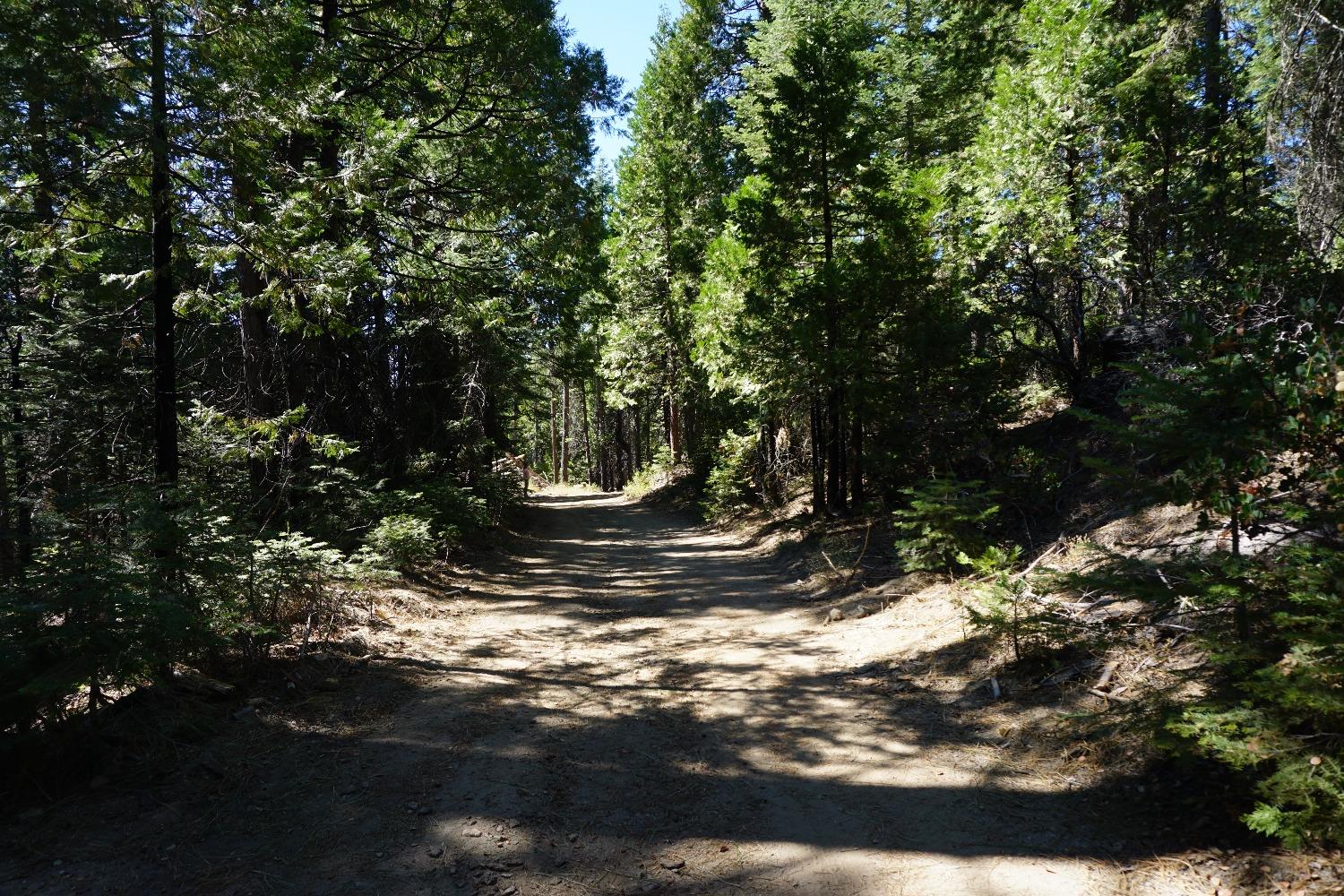 0 Providence Creek Road Shaver Lake, CA 93664 - Photo 1 of 31