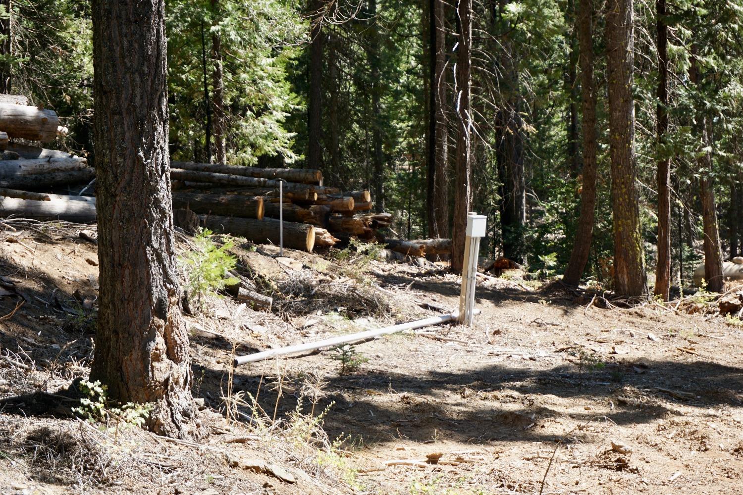 0 Providence Creek Road Shaver Lake, CA 93664 - Photo 12 of 31