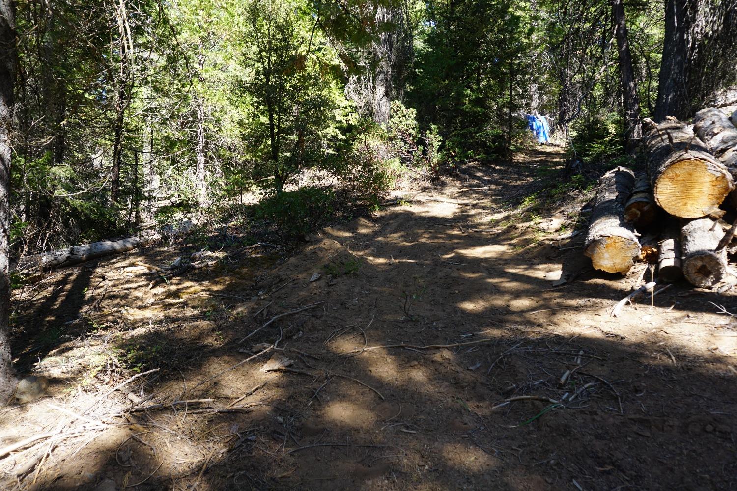 0 Providence Creek Road Shaver Lake, CA 93664 - Photo 13 of 31