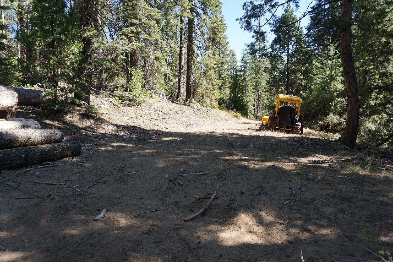 0 Providence Creek Road Shaver Lake, CA 93664 - Photo 15 of 31