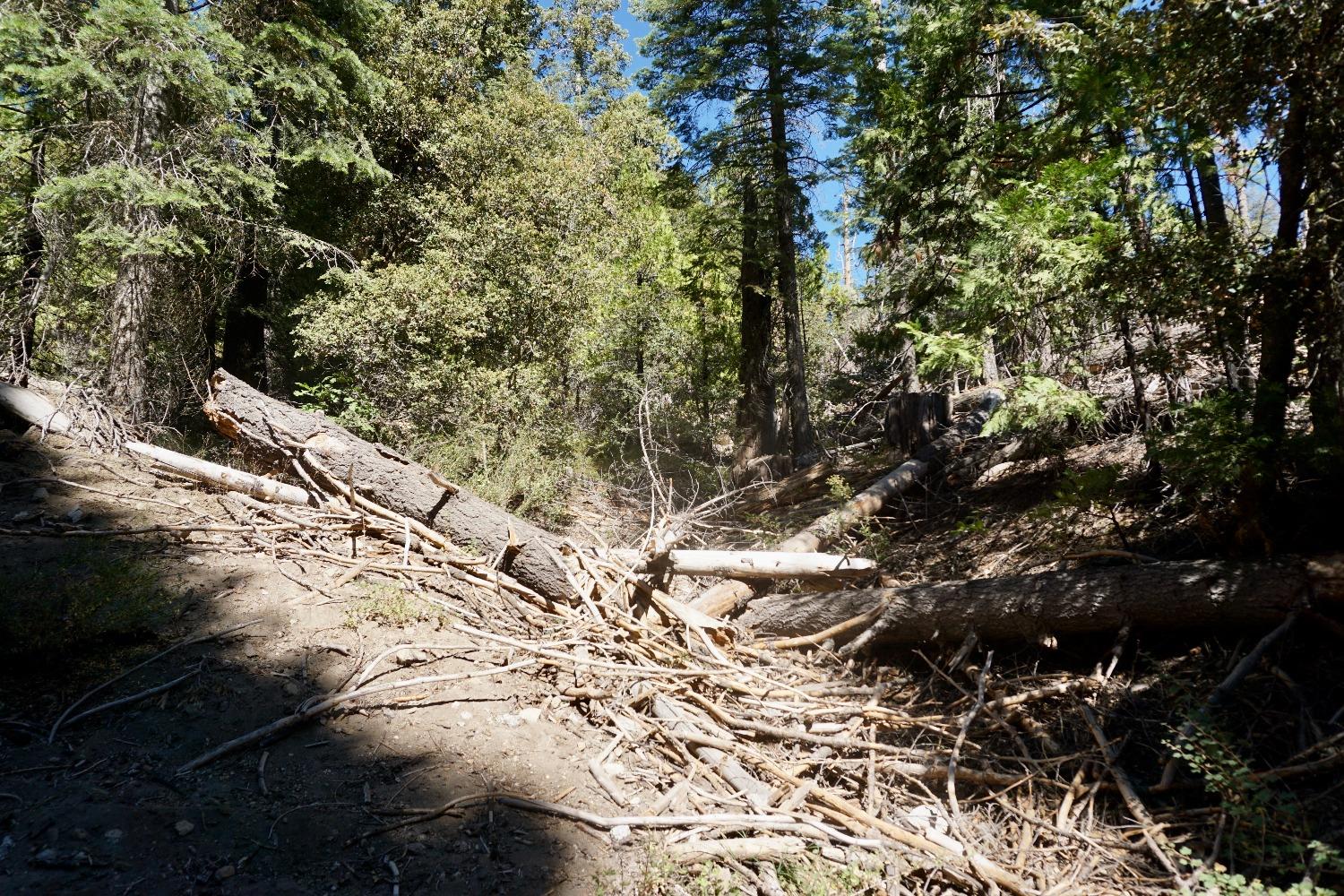 0 Providence Creek Road Shaver Lake, CA 93664 - Photo 18 of 31