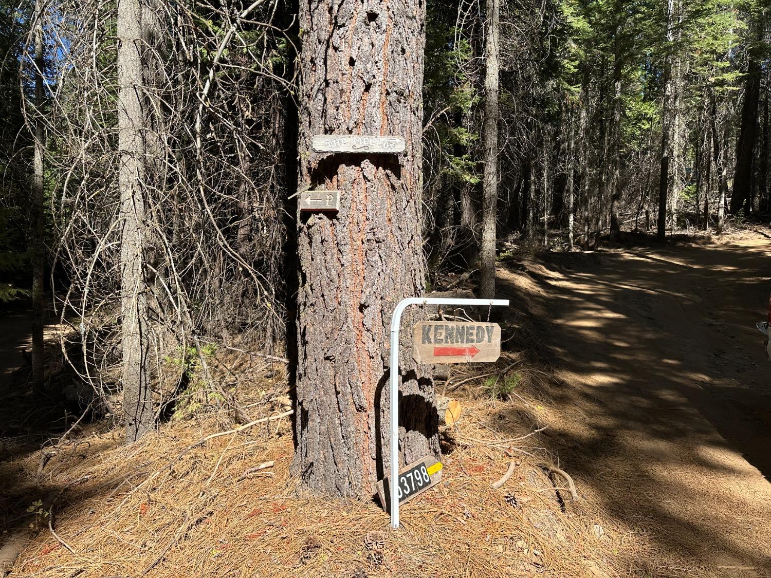 0 Providence Creek Road Shaver Lake, CA 93664 - Photo 19 of 31