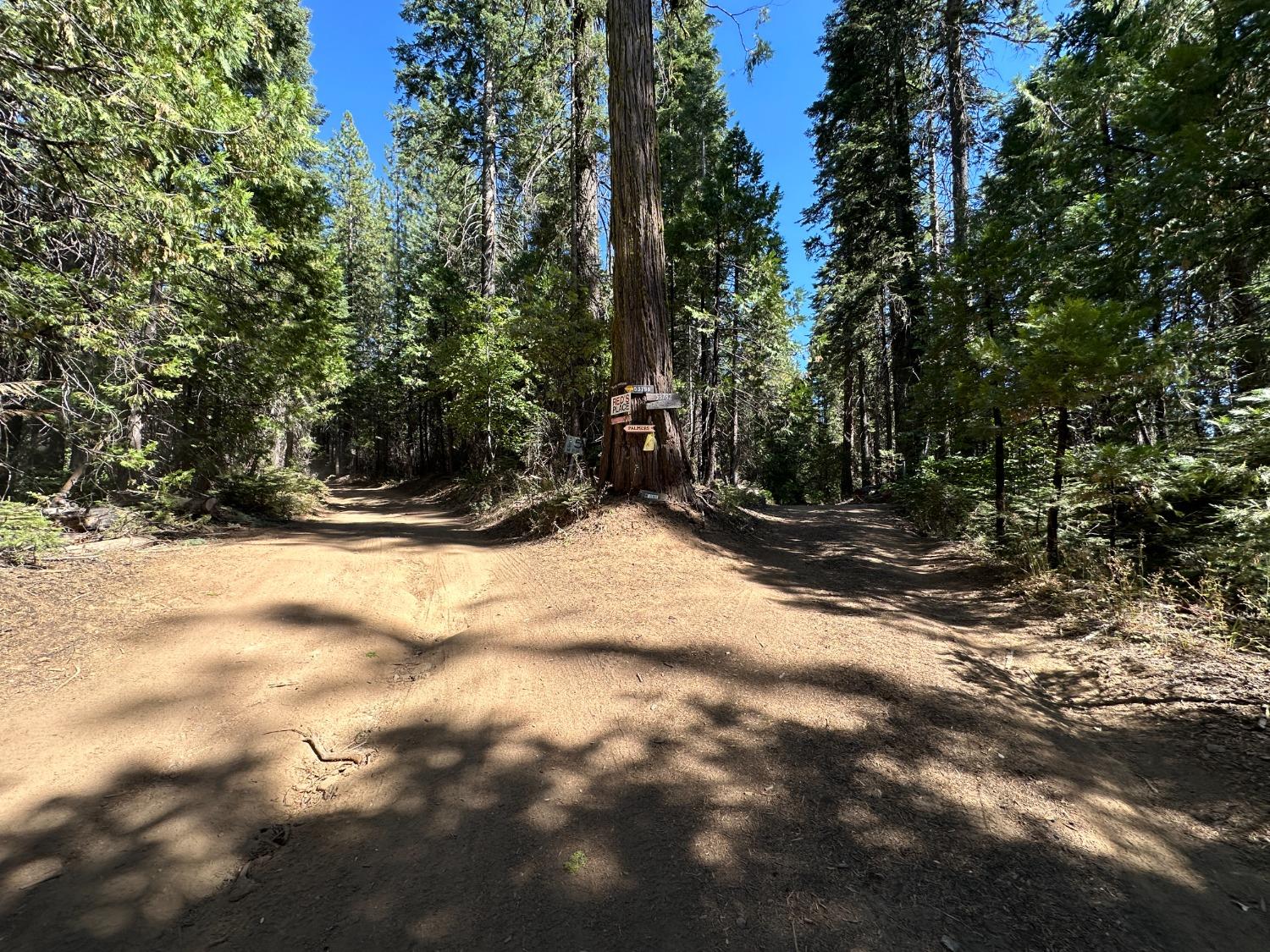 0 Providence Creek Road Shaver Lake, CA 93664 - Photo 20 of 31