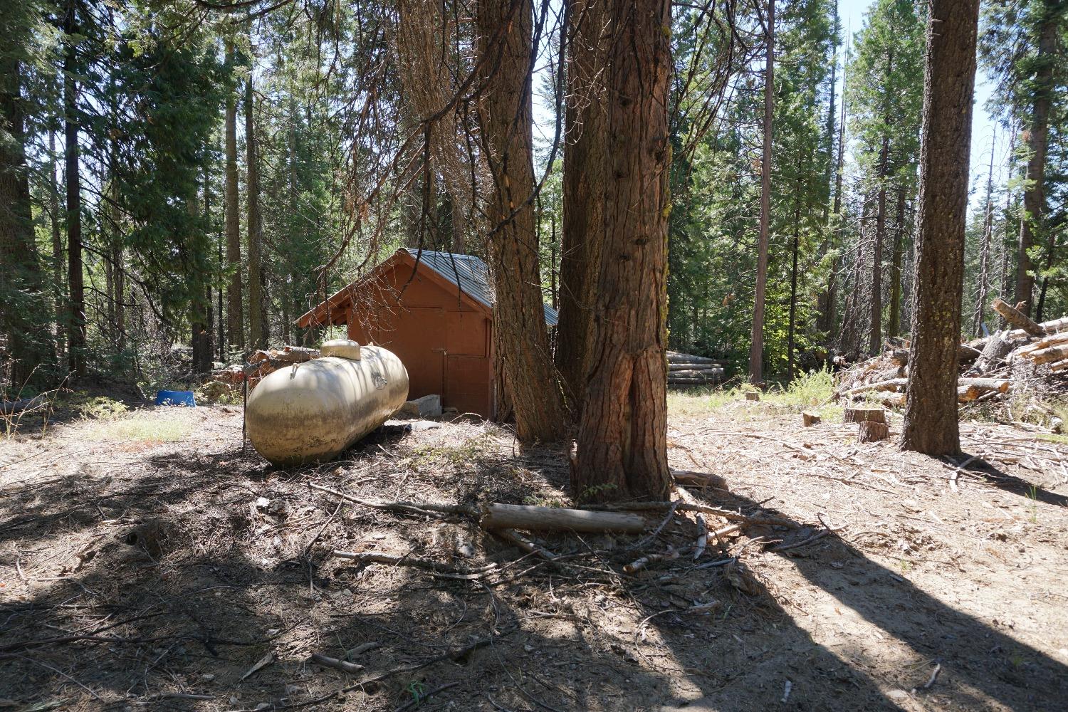 0 Providence Creek Road Shaver Lake, CA 93664 - Photo 2 of 31