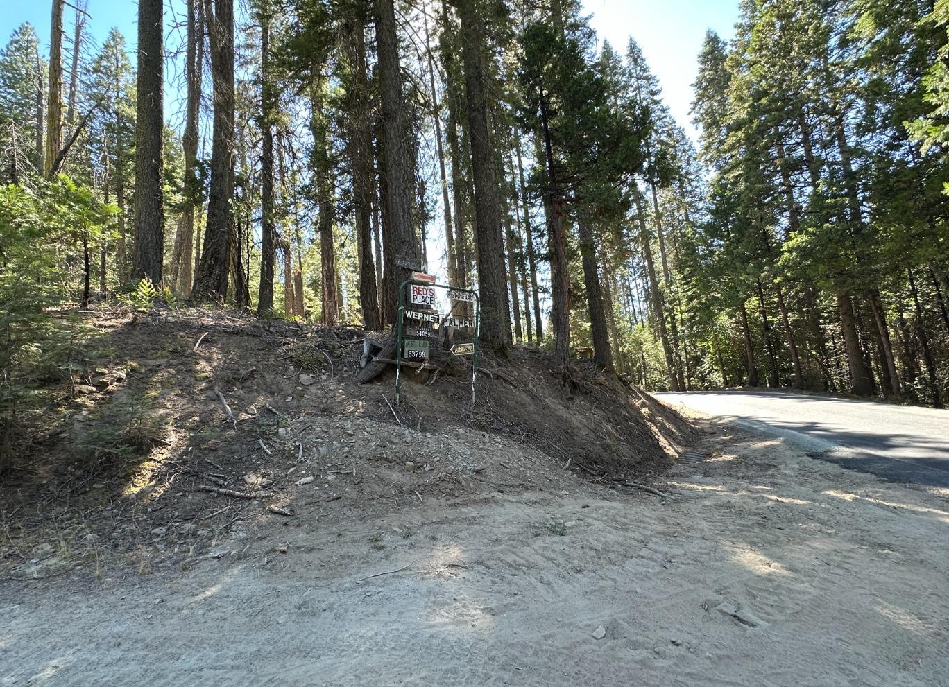 0 Providence Creek Road Shaver Lake, CA 93664 - Photo 21 of 31