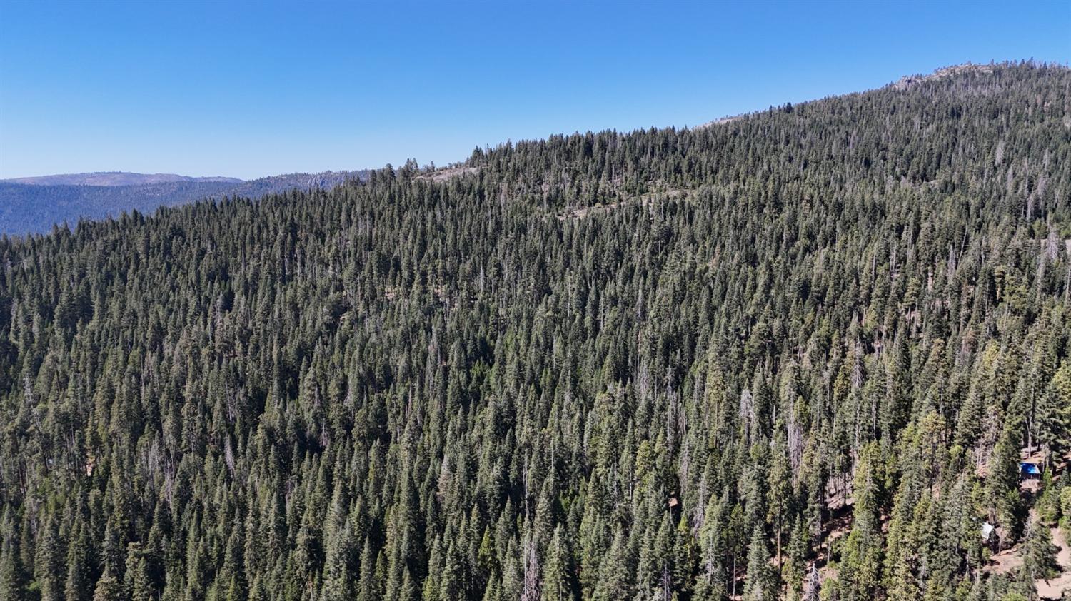 0 Providence Creek Road Shaver Lake, CA 93664 - Photo 24 of 31