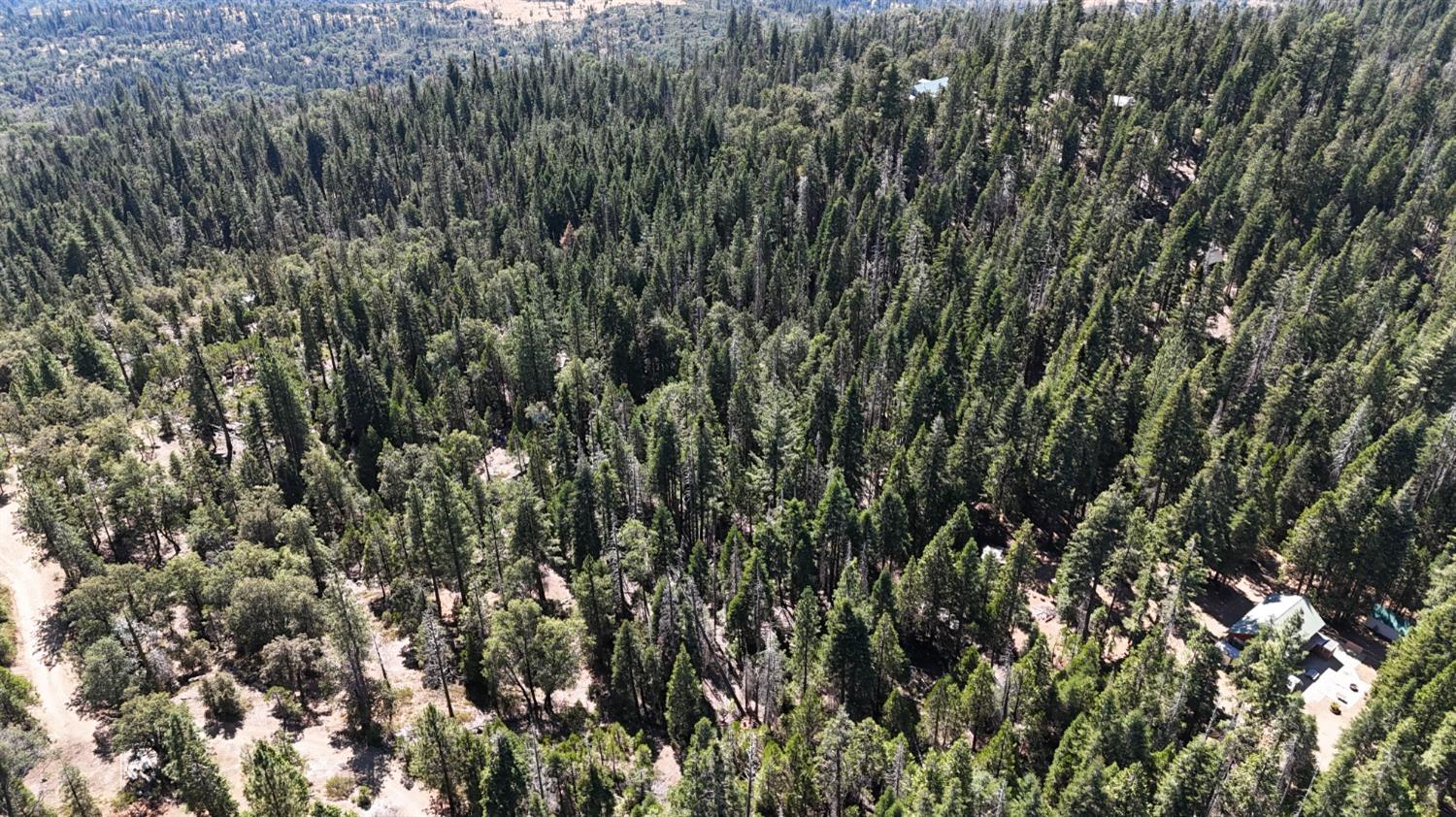 0 Providence Creek Road Shaver Lake, CA 93664 - Photo 27 of 31