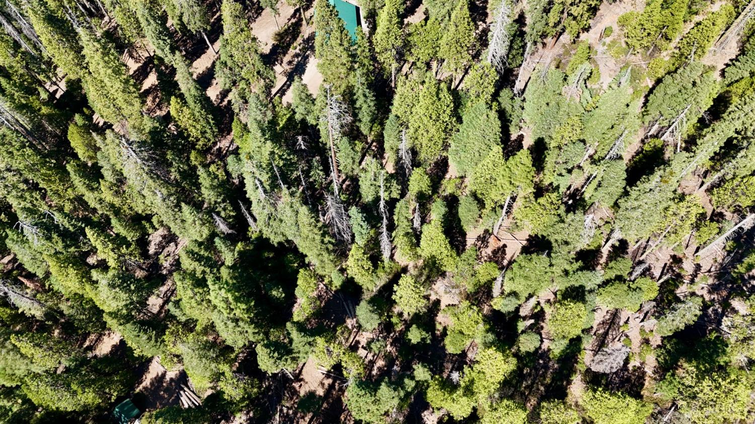 0 Providence Creek Road Shaver Lake, CA 93664 - Photo 28 of 31