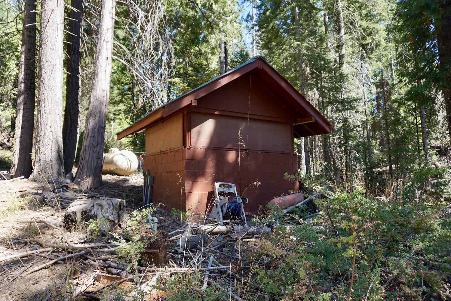 0 Providence Creek Road Shaver Lake, CA 93664 - Photo 3 of 31
