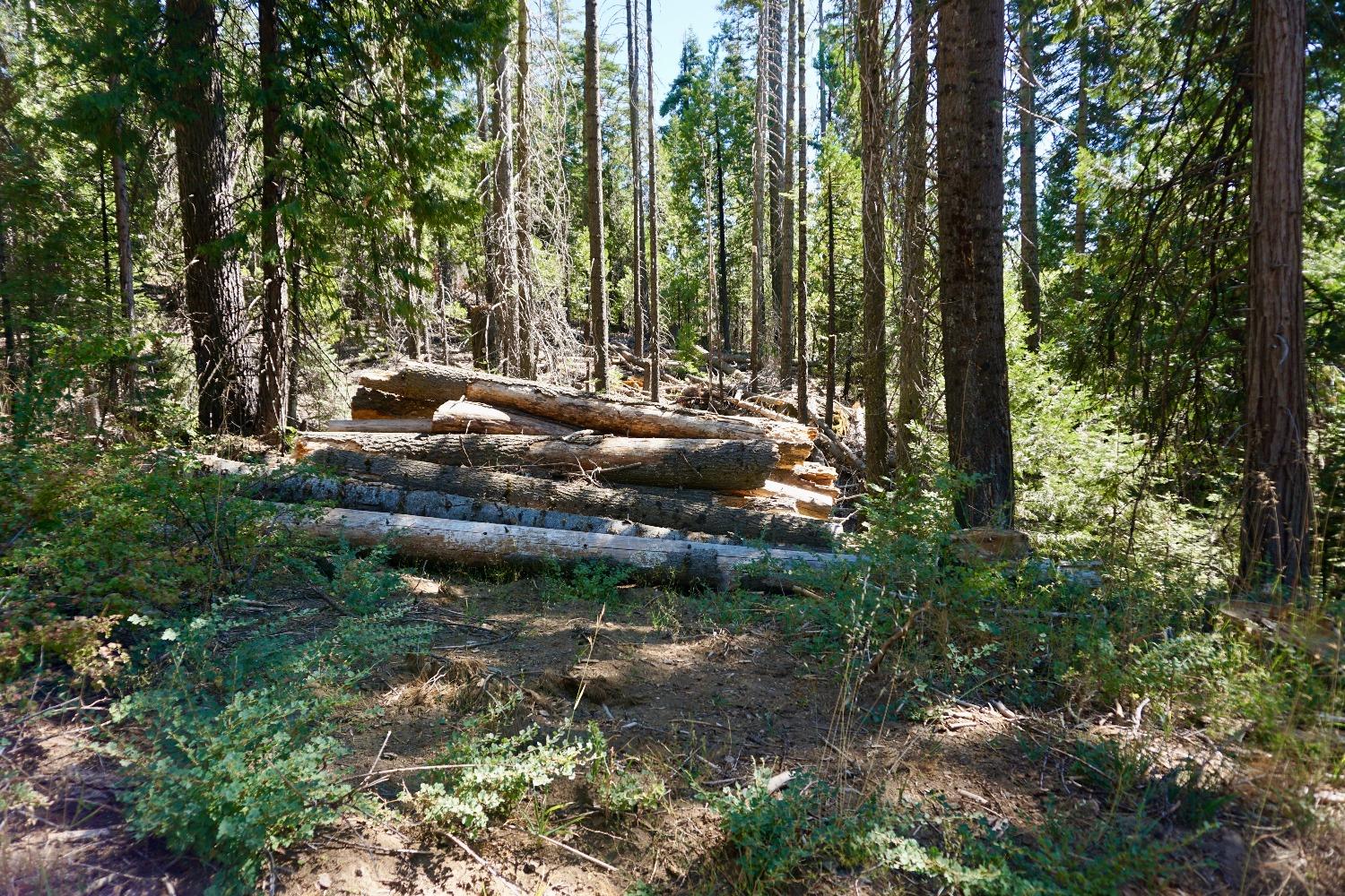 0 Providence Creek Road Shaver Lake, CA 93664 - Photo 4 of 31