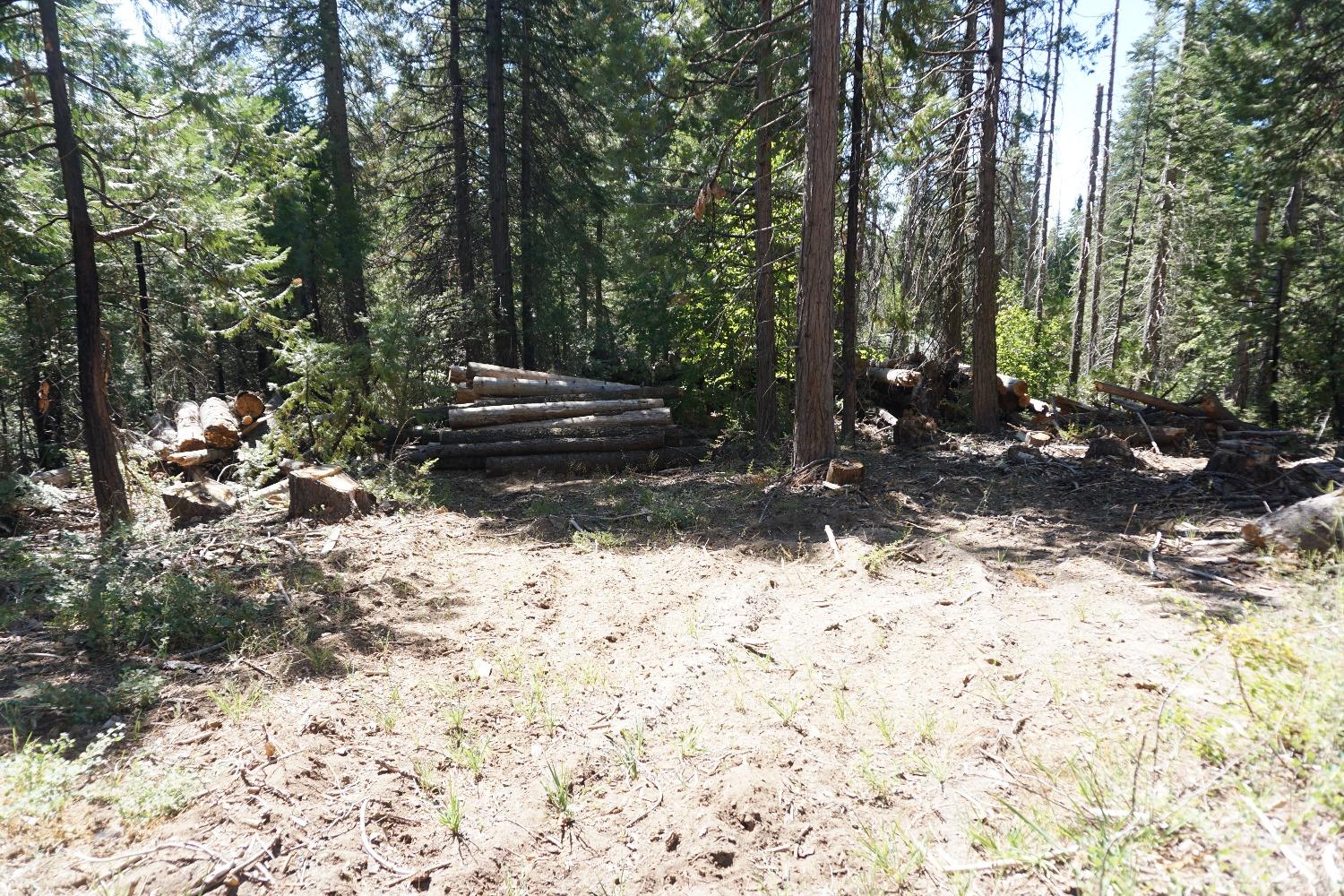 0 Providence Creek Road Shaver Lake, CA 93664 - Photo 5 of 31