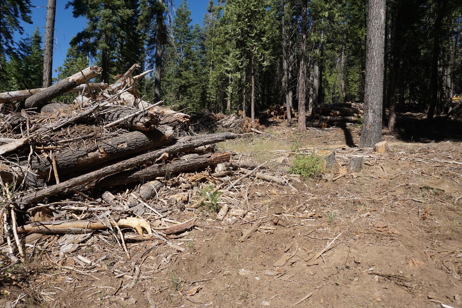 0 Providence Creek Road Shaver Lake, CA 93664 - Photo 6 of 31