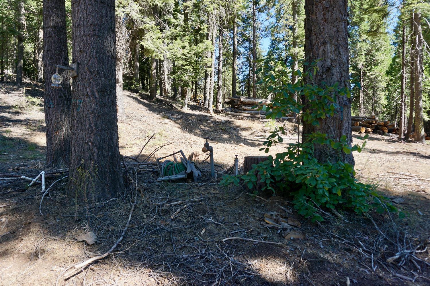 0 Providence Creek Road Shaver Lake, CA 93664 - Photo 7 of 31