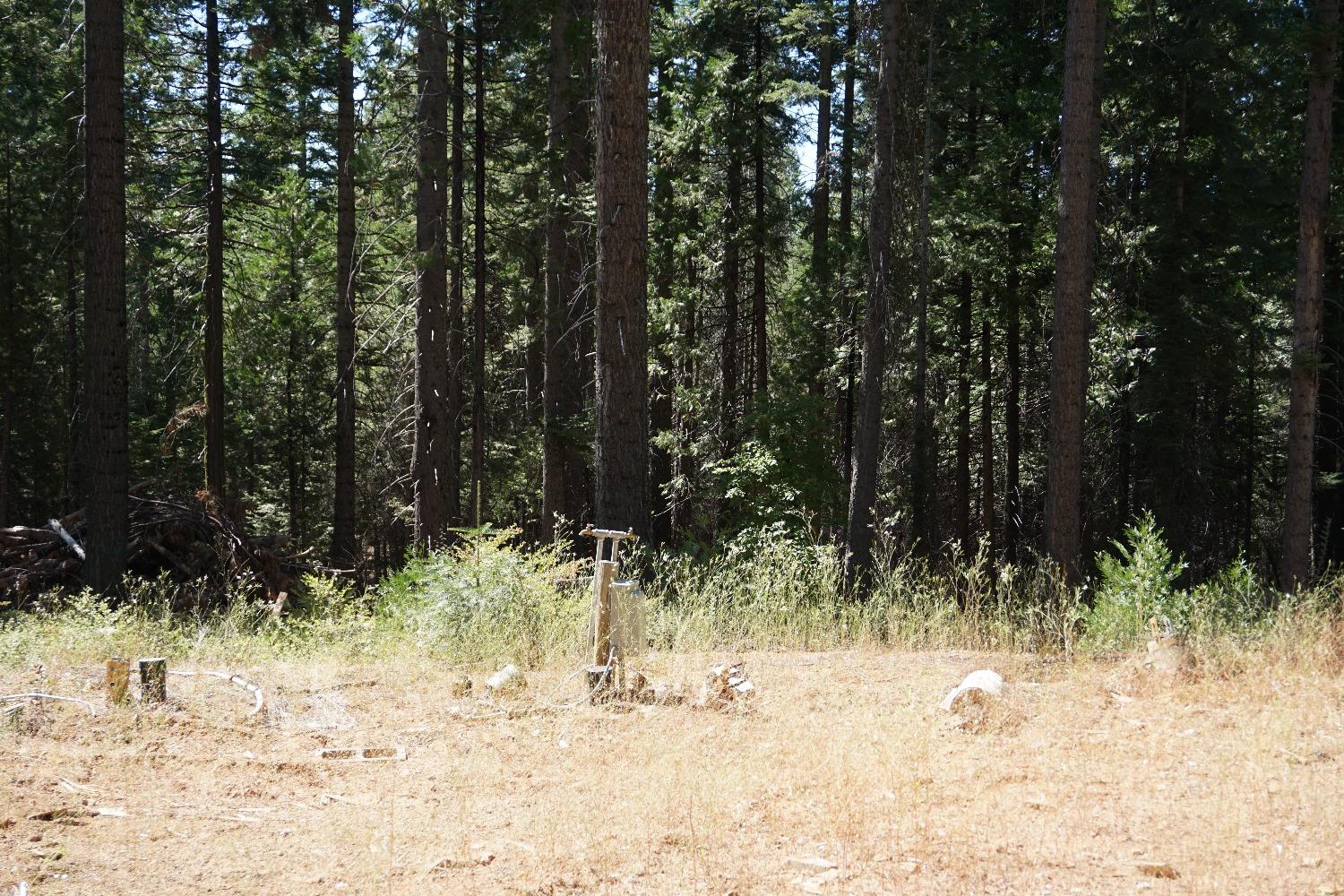 0 Providence Creek Road Shaver Lake, CA 93664 - Photo 9 of 31