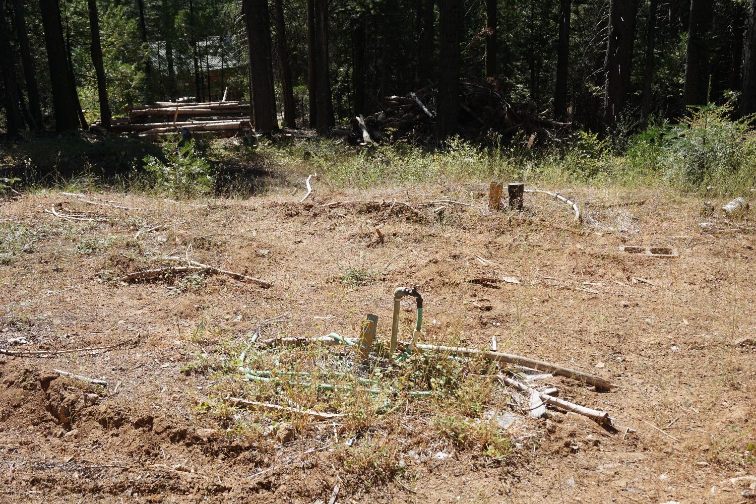 0 Providence Creek Road Shaver Lake, CA 93664 - Photo 10 of 31