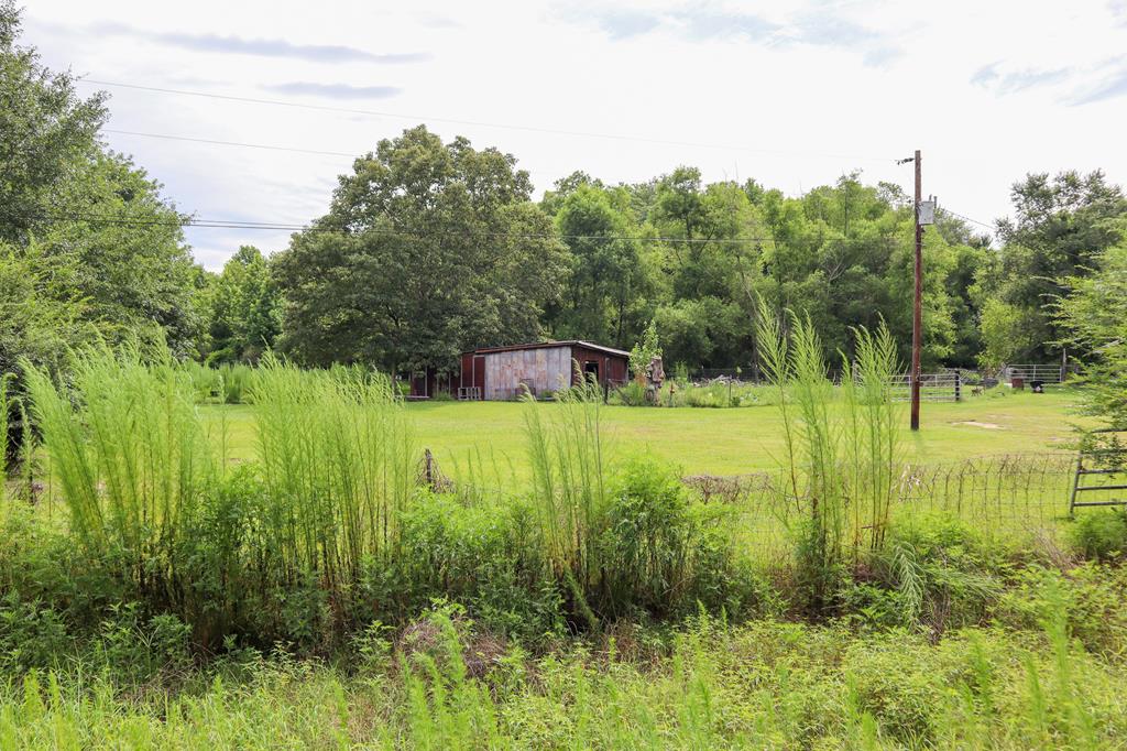 0 Watson Bridge Road Dothan, AL 36303 - Photo 5 of 9