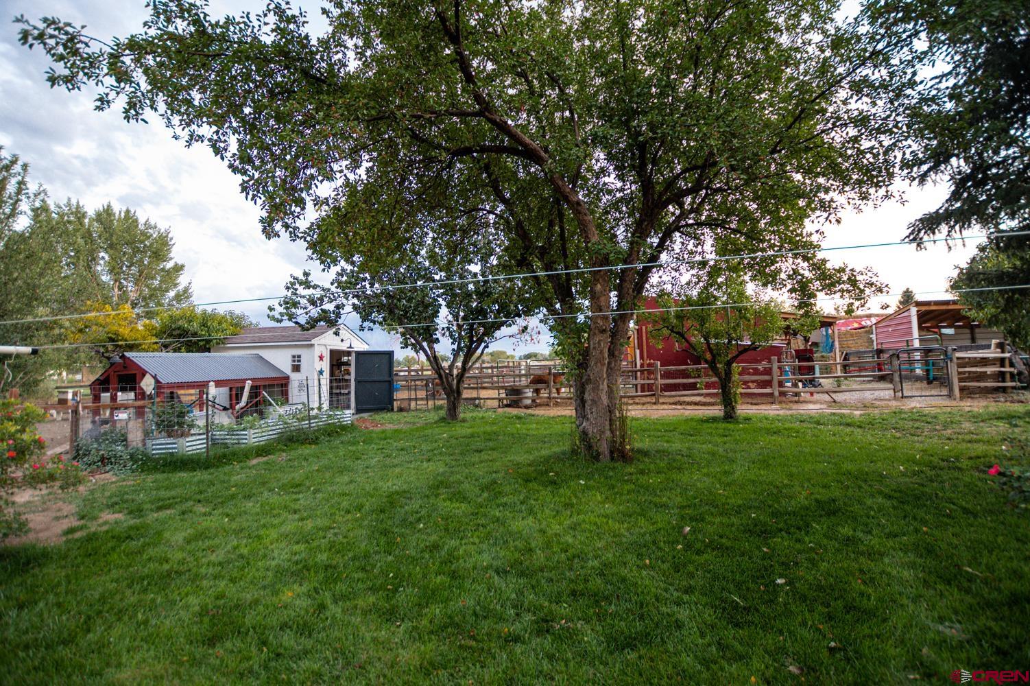 63288 Jig Road Montrose, CO 81401 - Photo 18 of 20 Gallery Image 18