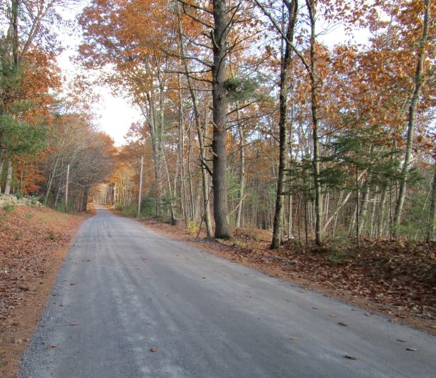 Tbd Strickland Ferry Road Wayne, ME 04284 - Photo 3 of 10 Strickland Ferry Wayne 018 (Custom) (2)