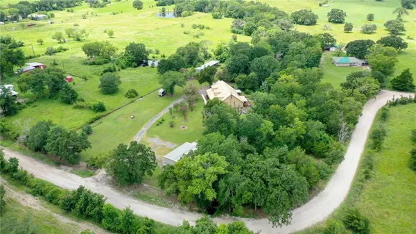 a view of a garden with a tree